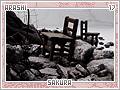 arashi-sakura17