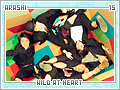 arashi-wildatheart15