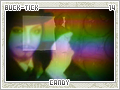 bucktick-candy14