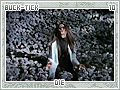 bucktick-die10