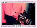 daigo-butterfly12