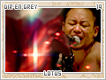 direngrey-lotus19