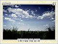erika-taiyounouta01