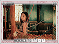 flower-akikazenoanswer03
