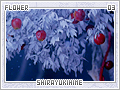 flower-shirayukihime03
