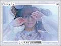 flower-shirayukihime14