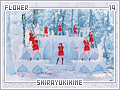 flower-shirayukihime19