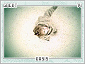 gackt-oasis14