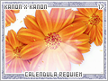 kanonxkanon-calendularequiem17