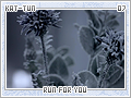 kattun-runforyou07