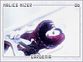 malicemizer-gardenia06