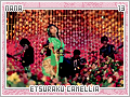 nana-etsurakucamellia13