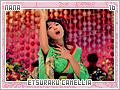 nana-etsurakucamellia16