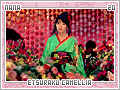 nana-etsurakucamellia20