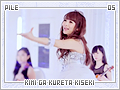 pile-kimigakuretakiseki05