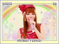 shoko-hanbunfushigi06