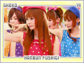 shoko-hanbunfushigi19