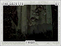thegazette-taion01