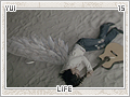 yui-life15